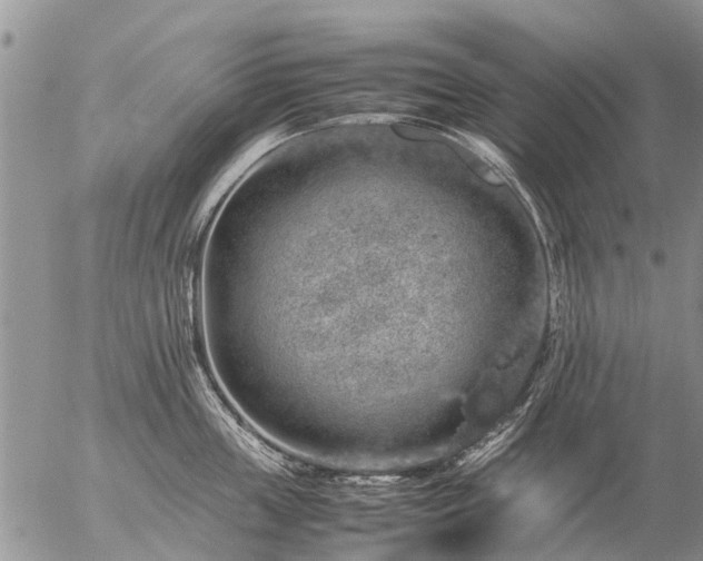 X0000057100859200509161653