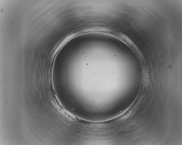 X0000057100860200509161653