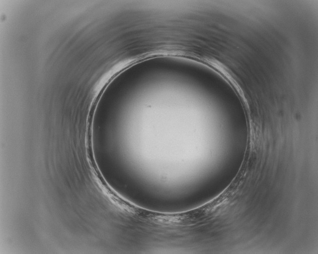 X0000057100861200509161653