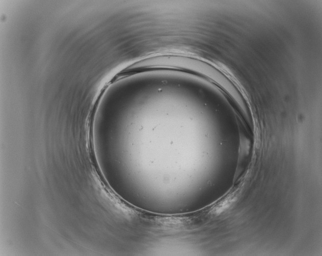 X0000057100862200509161653