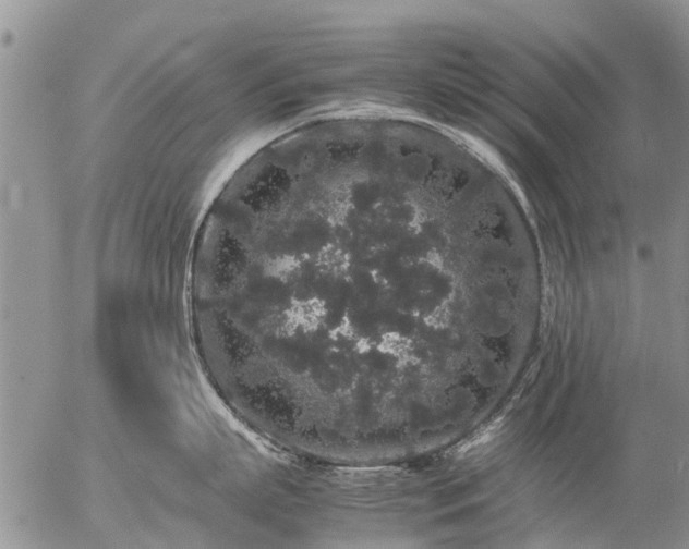 X0000057100863200509161653