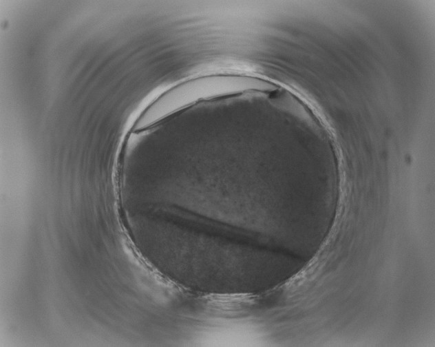 X0000057100864200509161653