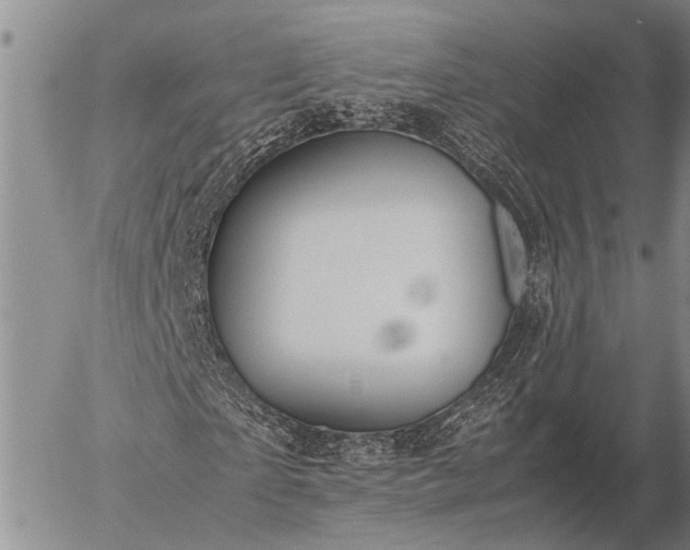 X0000057100865200509161652