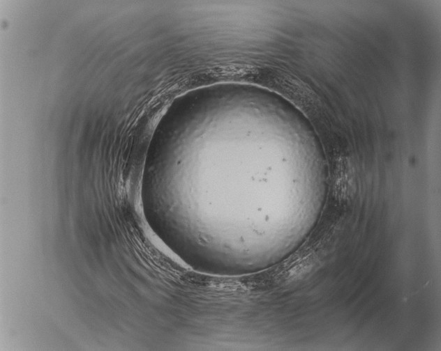 X0000057100866200509161652