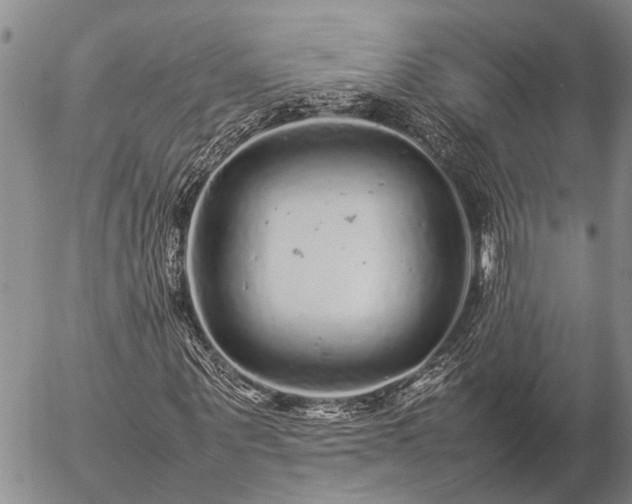 X0000057100867200509161652