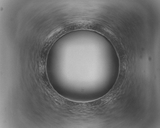 X0000057100869200509161652