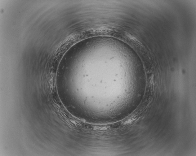 X0000057100870200509161652