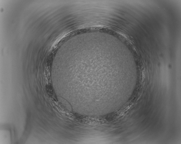 X0000057100871200509161652