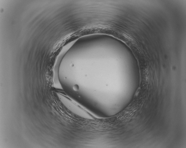 X0000057100872200509161652