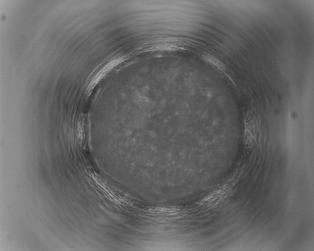 X0000057100874200509161652