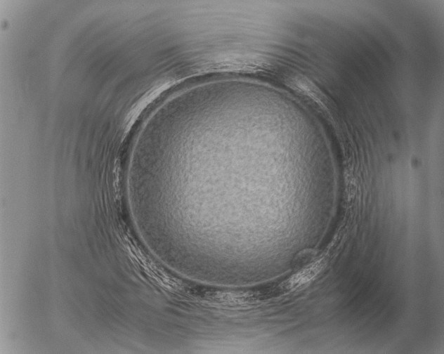 X0000057100875200509161652