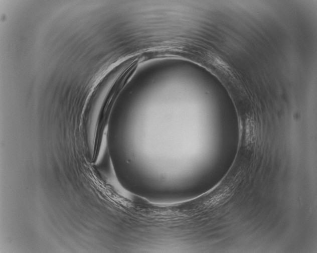 X0000057100876200509161652