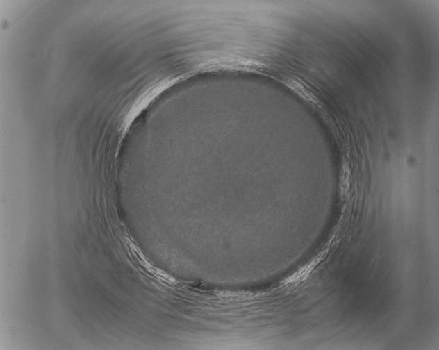 X0000057100877200509161652