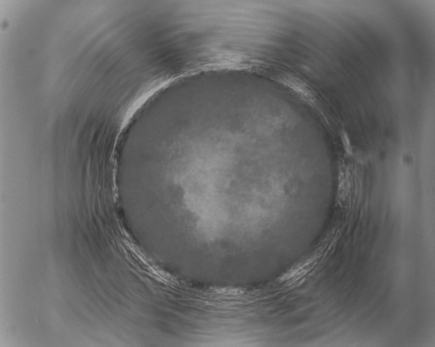 X0000057100878200509161652