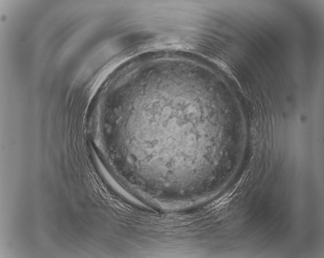 X0000057100879200509161652