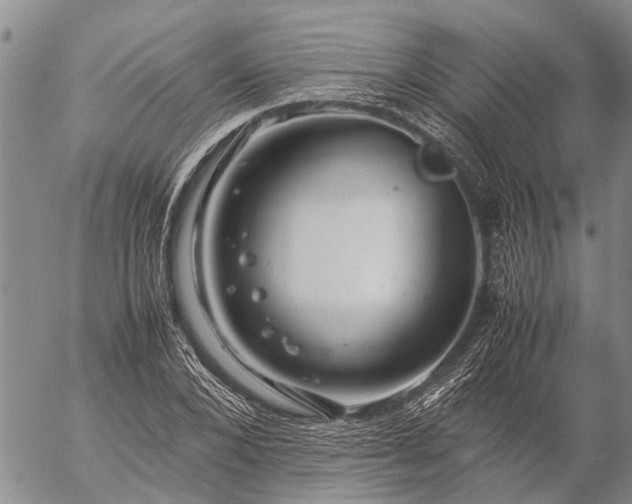 X0000057100880200509161652