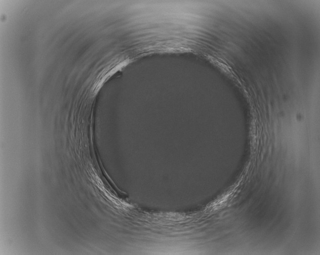 X0000057100881200509161652