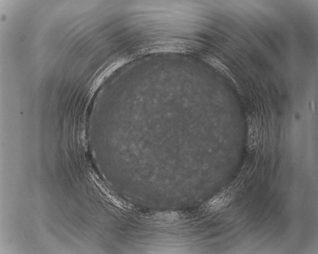 X0000057100882200509161652