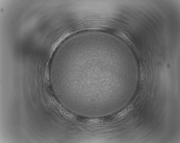 X0000057100883200509161652