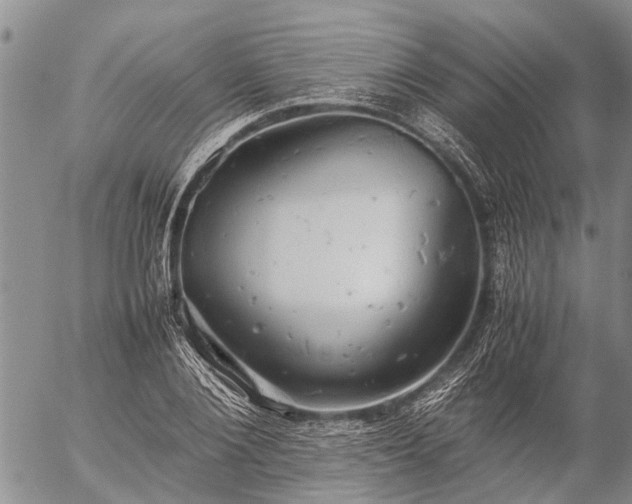 X0000057100884200509161652