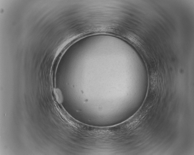 X0000057100886200509161652