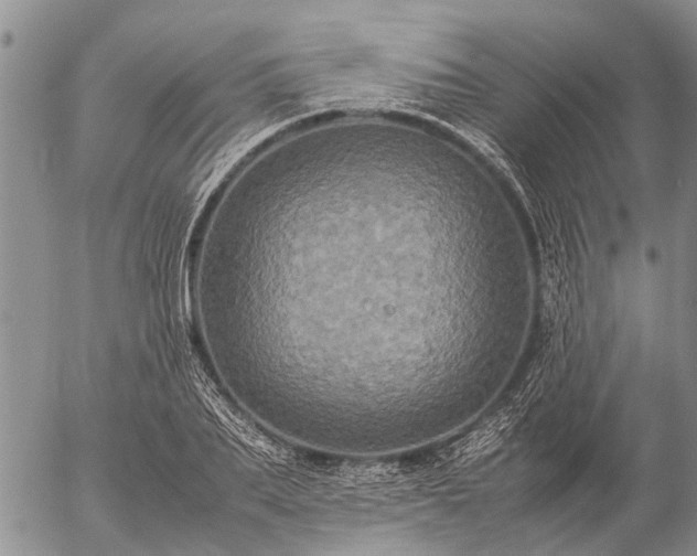 X0000057100887200509161652