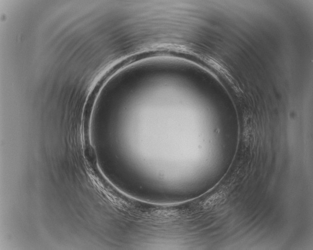 X0000057100888200509161652