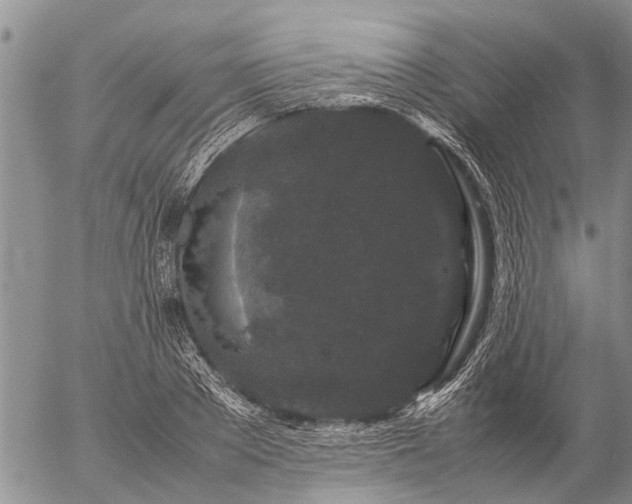 X0000057100889200509161652