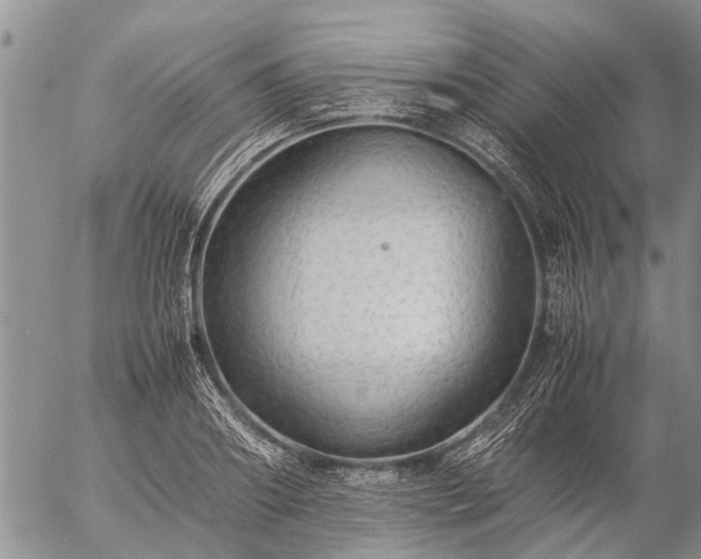 X0000057100890200509161652