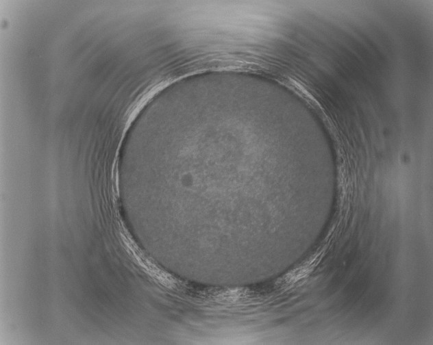 X0000057100891200509161652