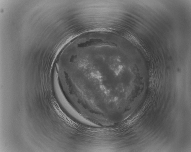 X0000057100892200509161652