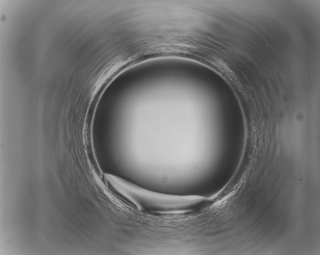 X0000057100893200509161652