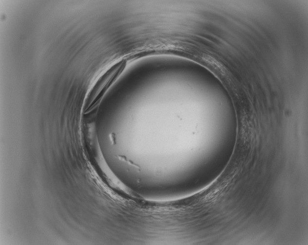 X0000057100894200509161652