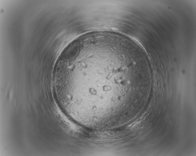 X0000057100895200509161652