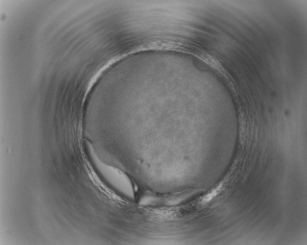 X0000057100896200509161651