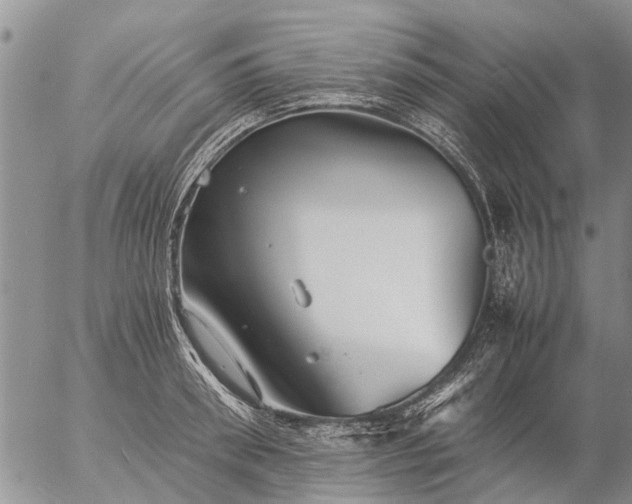 X0000057100898200509161651