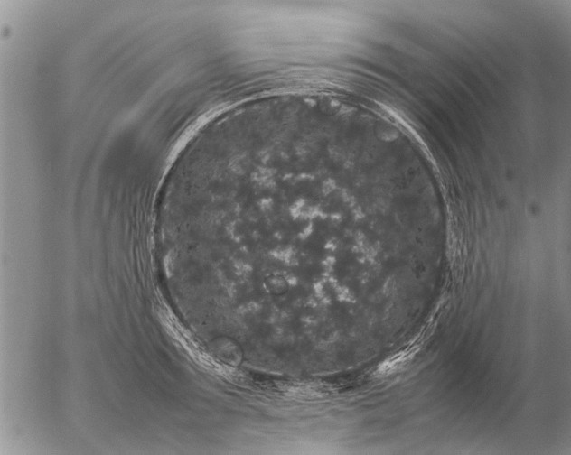 X0000057100899200509161651