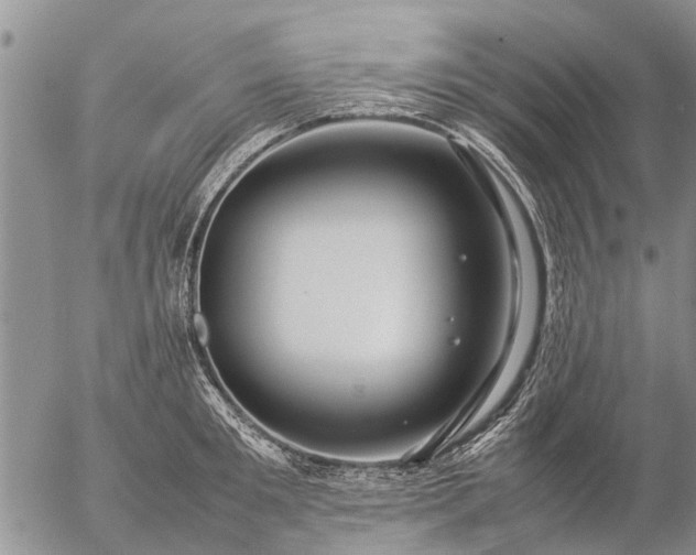 X0000057100901200509161651