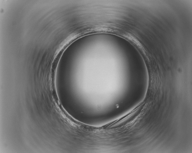 X0000057100902200509161651