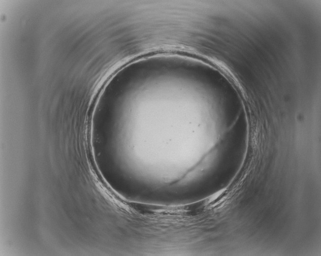 X0000057100903200509161651