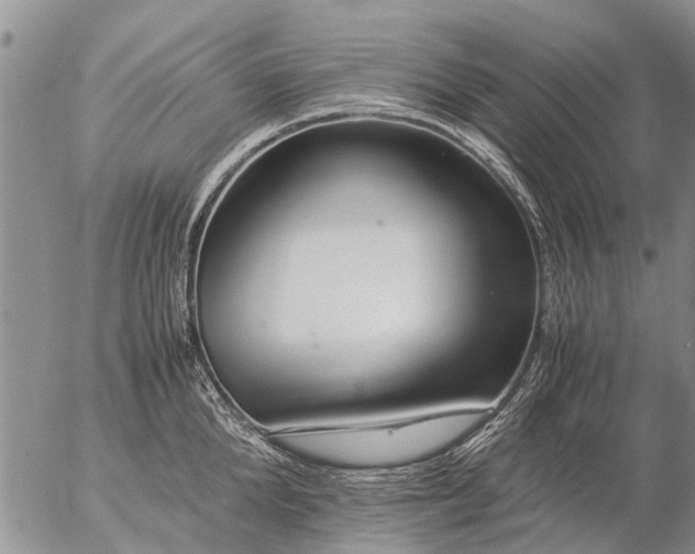 X0000057100904200509161651