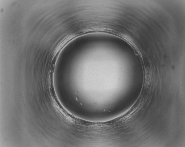 X0000057100906200509161651