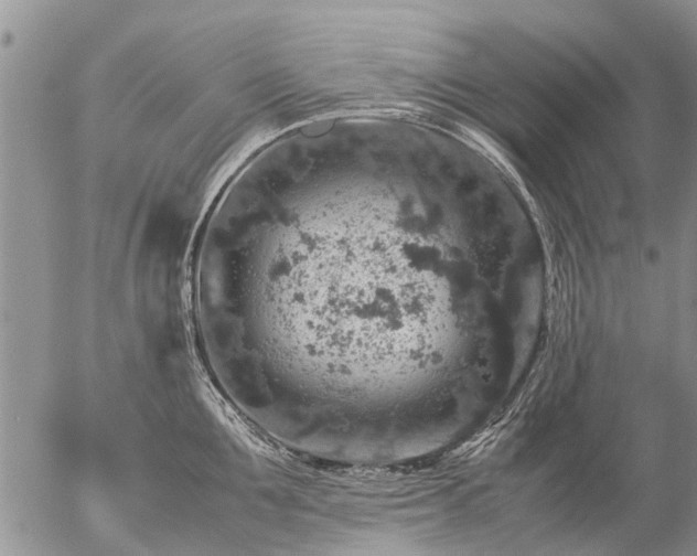 X0000057100907200509161651