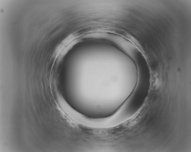 X0000057100909200509161651