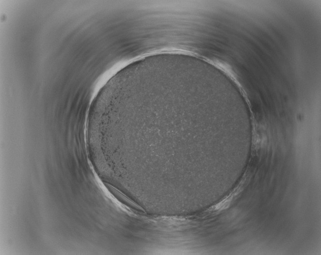 X0000057100910200509161651