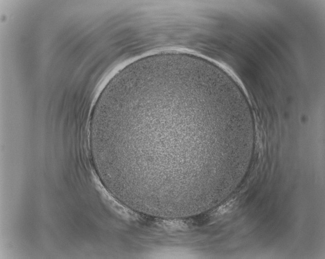 X0000057100911200509161651