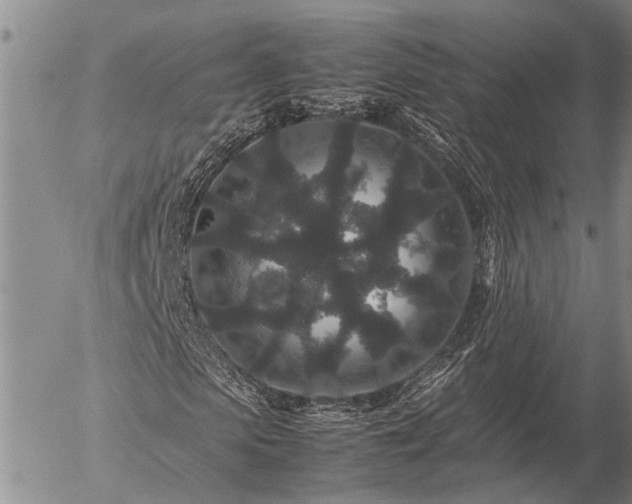 X0000057100913200509161650