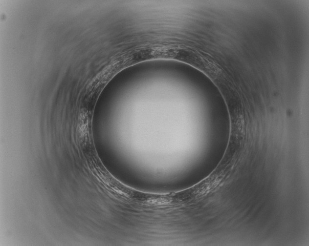 X0000057100914200509161650