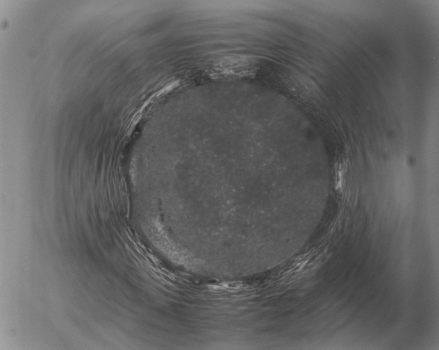 X0000057100915200509161650