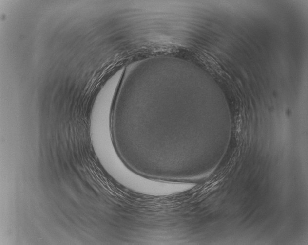 X0000057100916200509161651